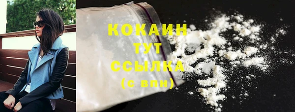 МДПВ Протвино