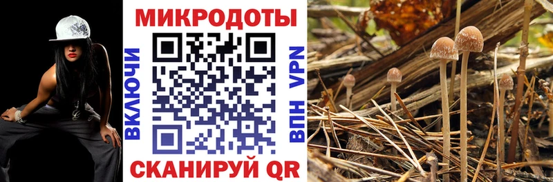 наркота  Железногорск-Илимский  Псилоцибиновые грибы ЛСД 